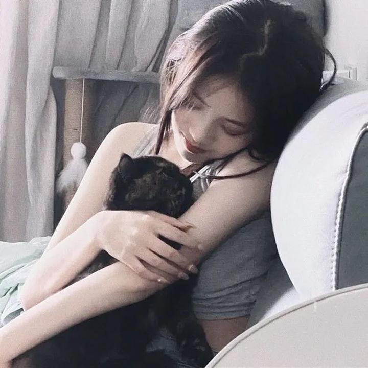 苍天之拳 REGENESIS第二季