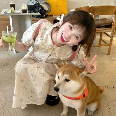 筷仙 海报